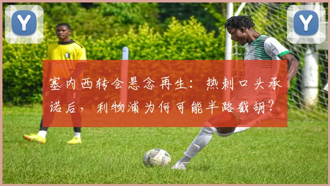 塞内西转会悬念再生：热刺口头承诺后，利物浦为何可能半路截胡？