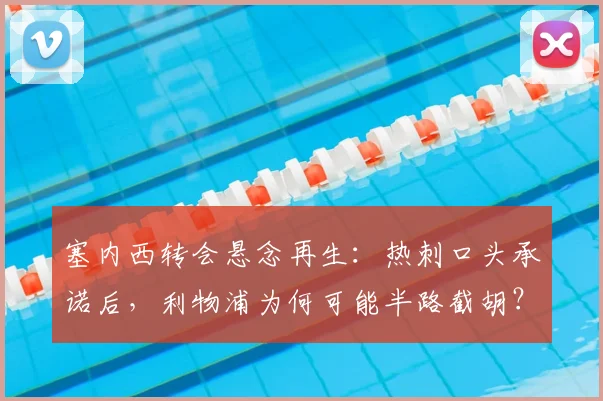 塞内西转会悬念再生：热刺口头承诺后，利物浦为何可能半路截胡？